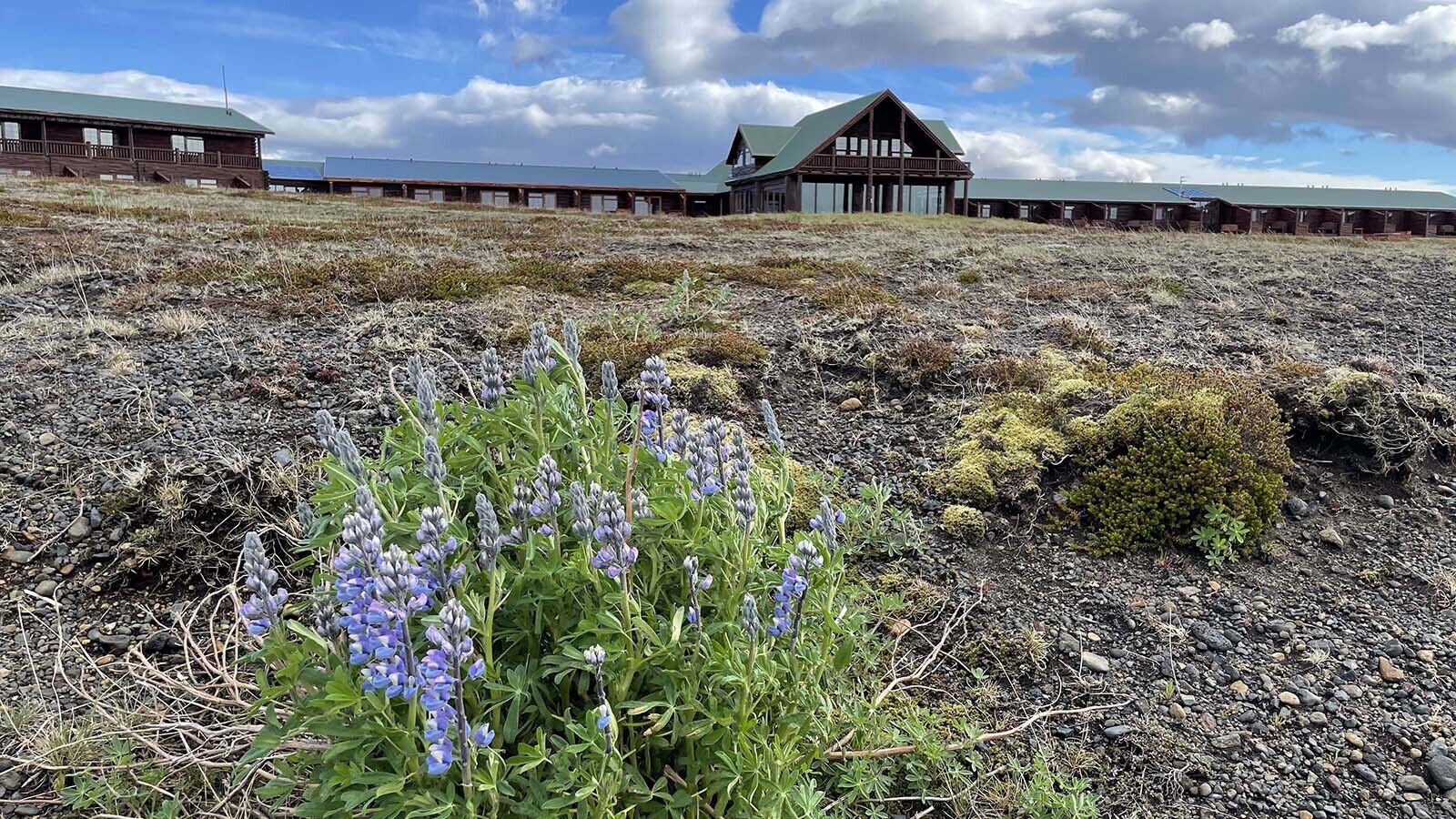 Right now in Iceland: Hot lava and a warm welcome
